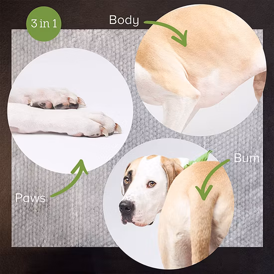 Biokleen OEM 80PCS 100PCS Pets Cleaning Dog Bath Ear Dog Pet Wet Wipes